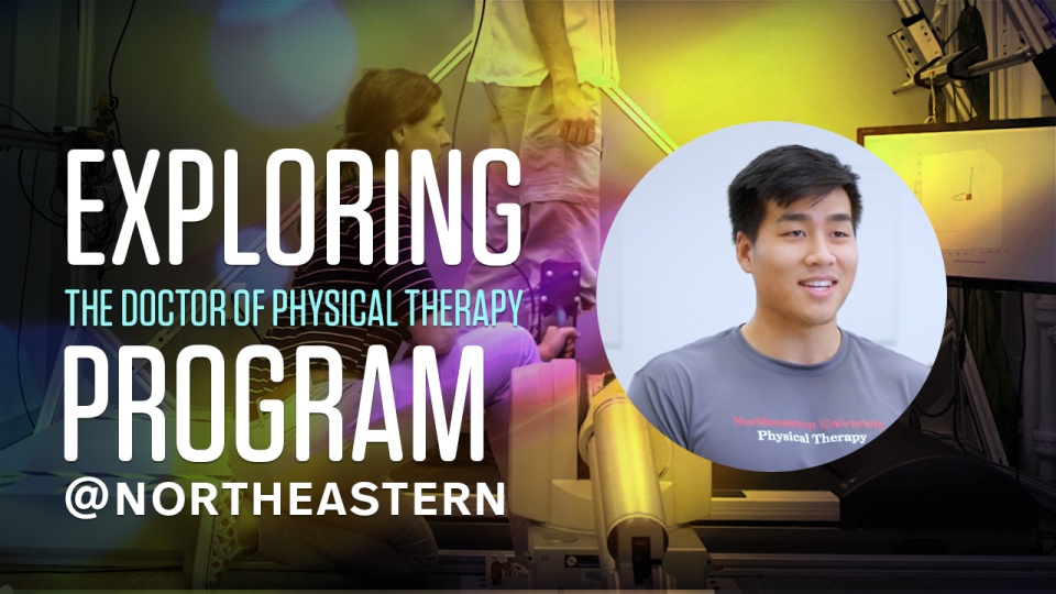 Doctor of Physical Therapy Program