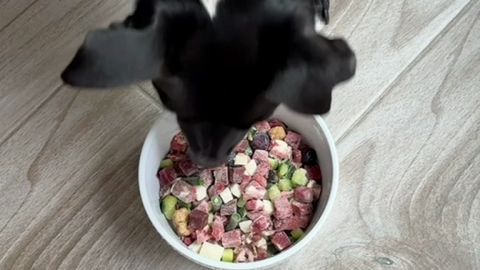 MAEV Skin & Coat Human-Grade Raw Frozen Beef Dog Food